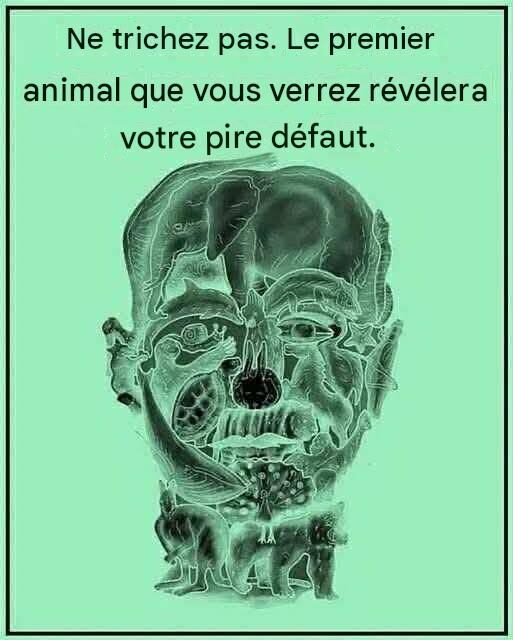 Ce que le premier animal que vous voyez révèle sur votre « pire défaut » (Préparez-vous à être choqué !)